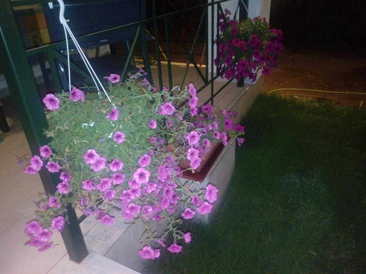 Ioannas Villa Nikiti  Exterior foto